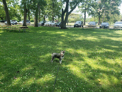 Lyndhurst Dog Park