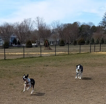 Orchard Park Dog Park