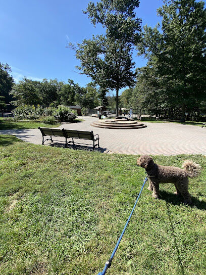 South Mountain Dog Park