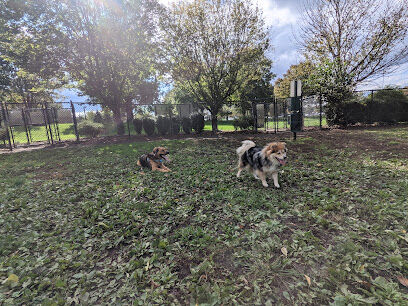 Marlboro Dog Park