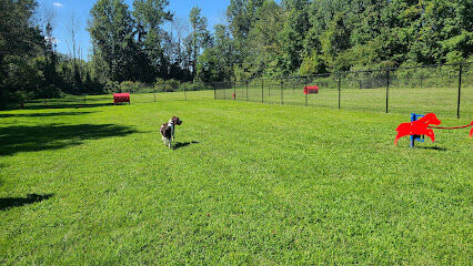 Freedom Barks