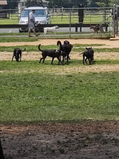 Thompson Park Dog Park