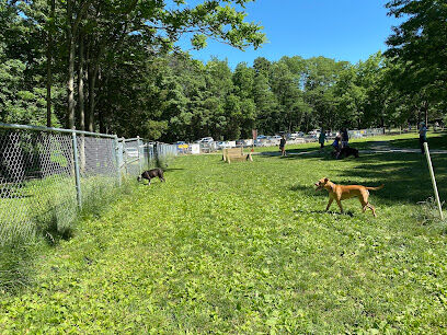 Central Park County Dog Park