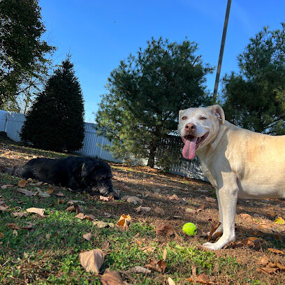 Dog Park of Laurel Green Apartments