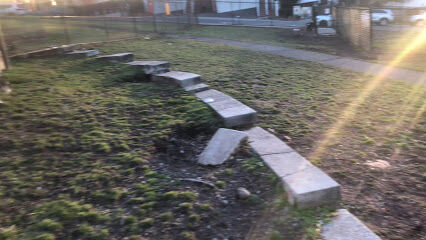 88th Street Dog Park