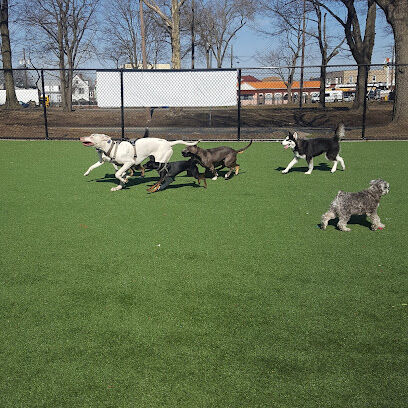 North Hudson County Park - Dog Park🐕