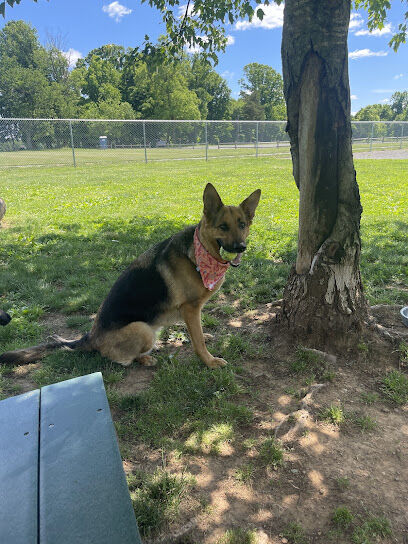 North Brunswick Dog Park