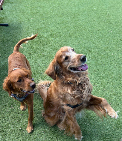 Nutley Dog Park