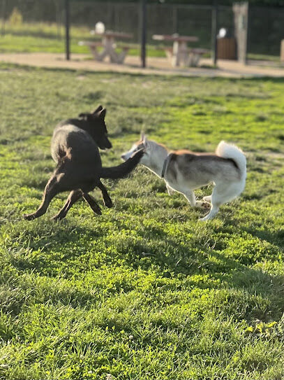 Wolf Hill Off-Leash Dog Park