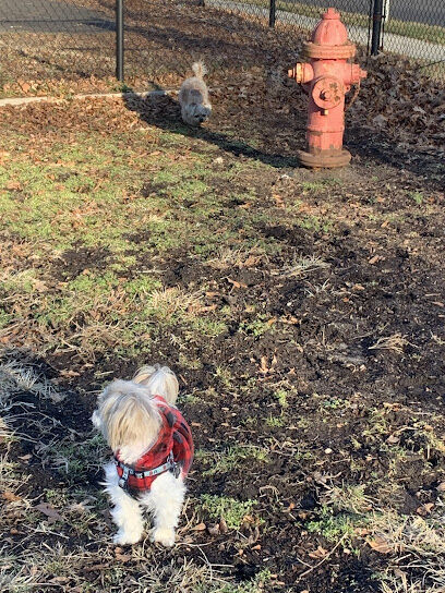Ziggy's Dog Park