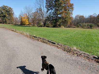 Cameron Dog Park