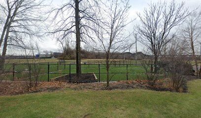 Dog Park