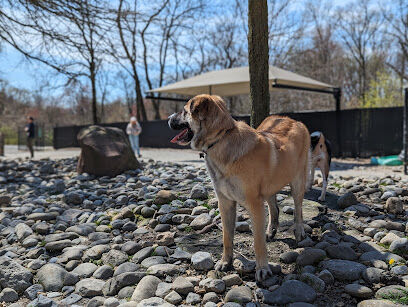 Large Dog Area