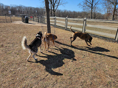 Dog Park