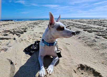 Spring Lake Dog Beach
