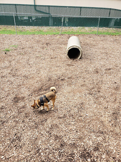 Dog Park