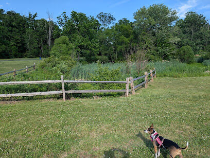 East County Park - Dog Park