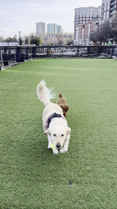 Dog Park