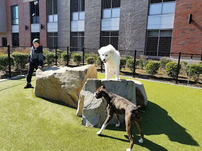 Estuary Apartment Dog Park