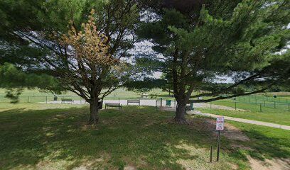 Dog Park