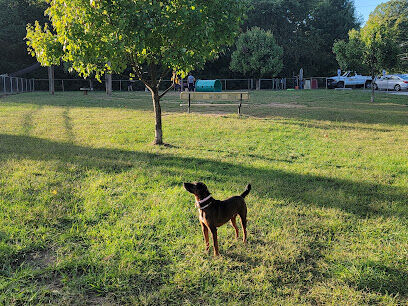 Deptford Doggie Park