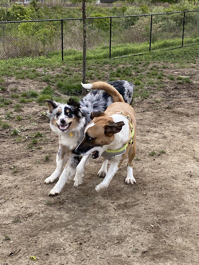Wharton Dog Park