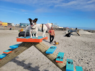 Wildwood Dog Park & Beach