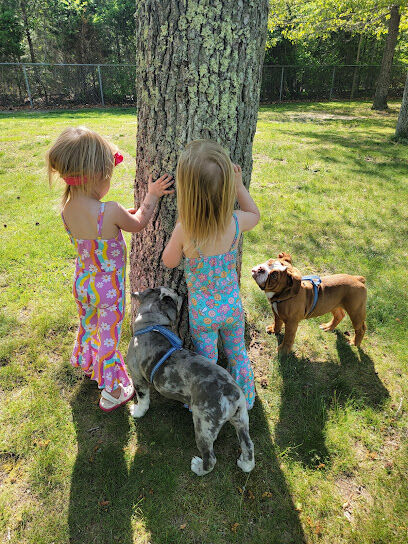 Upper Township Dog Park