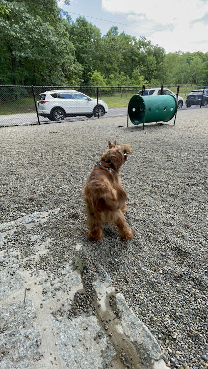 Dog Park at Rifle Camp Park