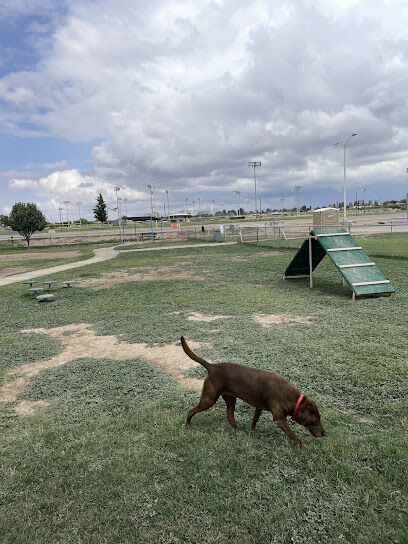 Bark Park