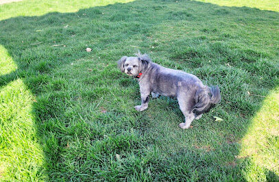 Abel's Dog Park