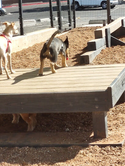 Cottonwood Mall Dog Park