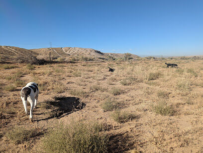 Montessa Dog Park