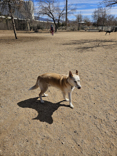 Tom Bolack Dog Park (Small & Large Dog Parks)