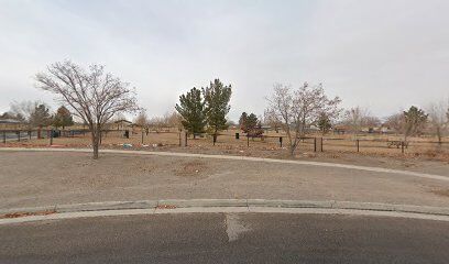 Westgate Dog Park in Albuquerque, NM
