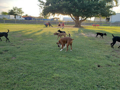 City Of Carlsbad Dog Park