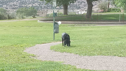 Grants Dog Park