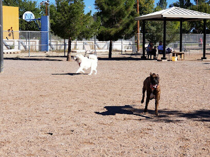 Las Cruces Dog Park