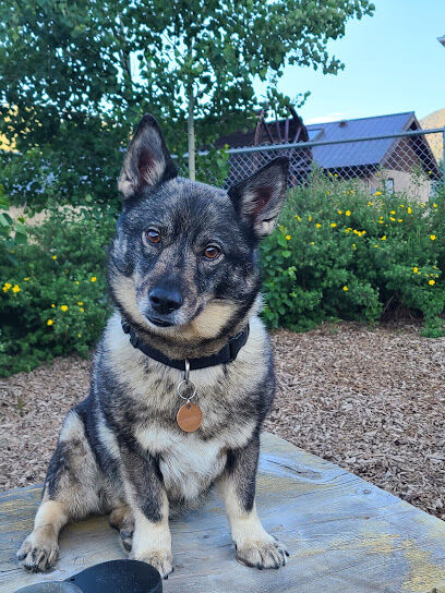 Red River Bark Park