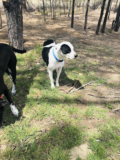 Rainbow Dog Park Parking