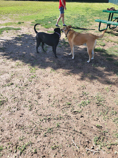 Woof Bowl Dog Park