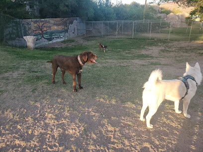 Carole Wheeler Dog Park