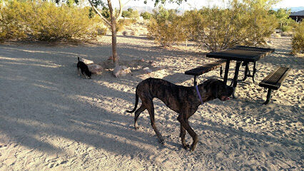 See Spot Run