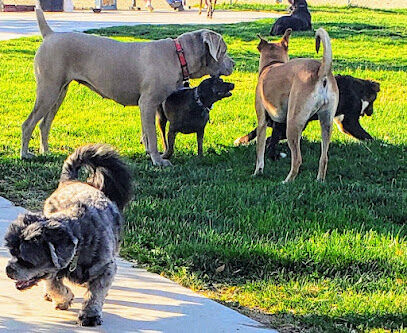 Dayton Valley Dog Park