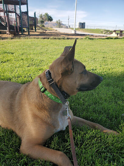 PAW-sitive Play Dog Park
