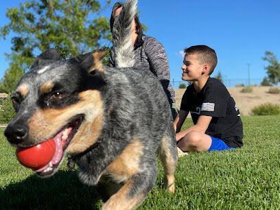 K9 Korral Dog Park