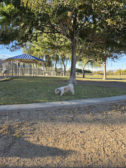 Cactus Wren Dog Park