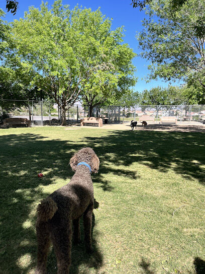 Dog Park