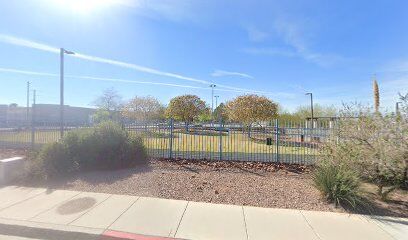 Dog Park