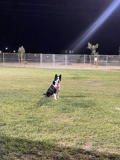 Dog Park